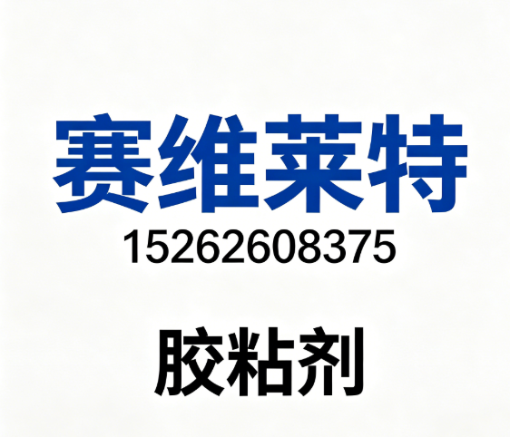 赛维莱特镇江线上分站